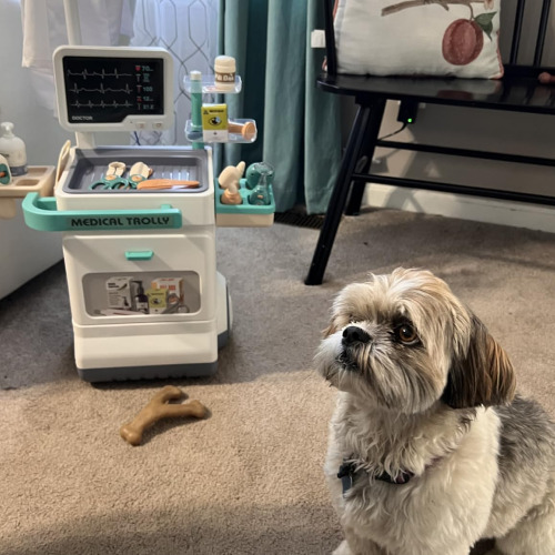 Little Doctor Adventure Play Pretend Kit for Kids