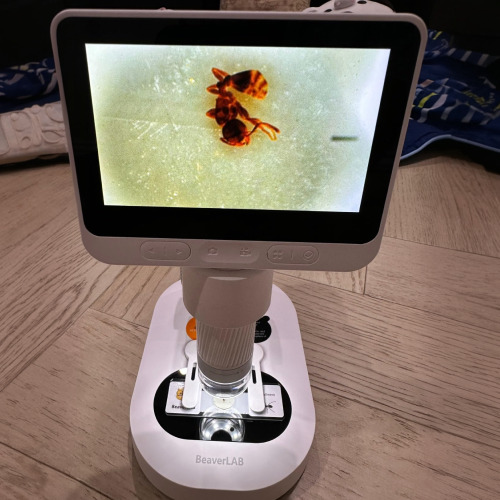 The WonderScope: Portable HD Mini Microscope