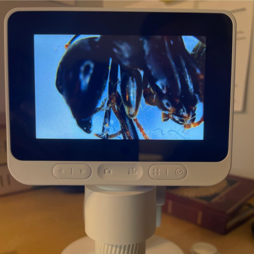 The WonderScope: Portable HD Mini Microscope